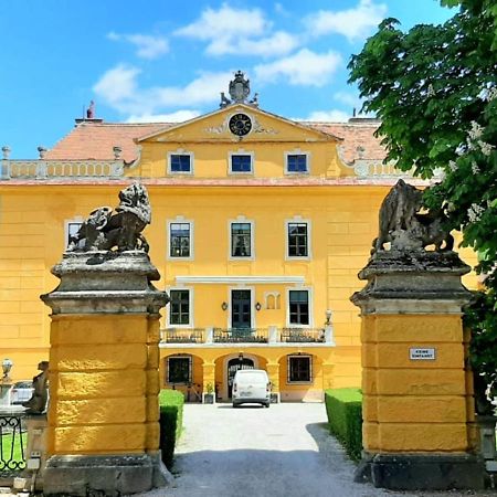 Villa Glorious Castle in Sankt Pölten with Sauna Exterior foto